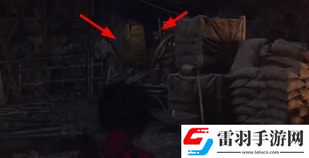 生化危機(jī)4重制版艾達(dá)王dlc鏟蟲(chóng)行動(dòng)攻略艾達(dá)王dlc鏟蟲(chóng)行動(dòng)攻略