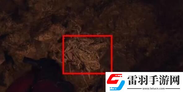 生化危機(jī)4重制版艾達(dá)王dlc鏟蟲(chóng)行動(dòng)攻略艾達(dá)王dlc鏟蟲(chóng)行動(dòng)攻略