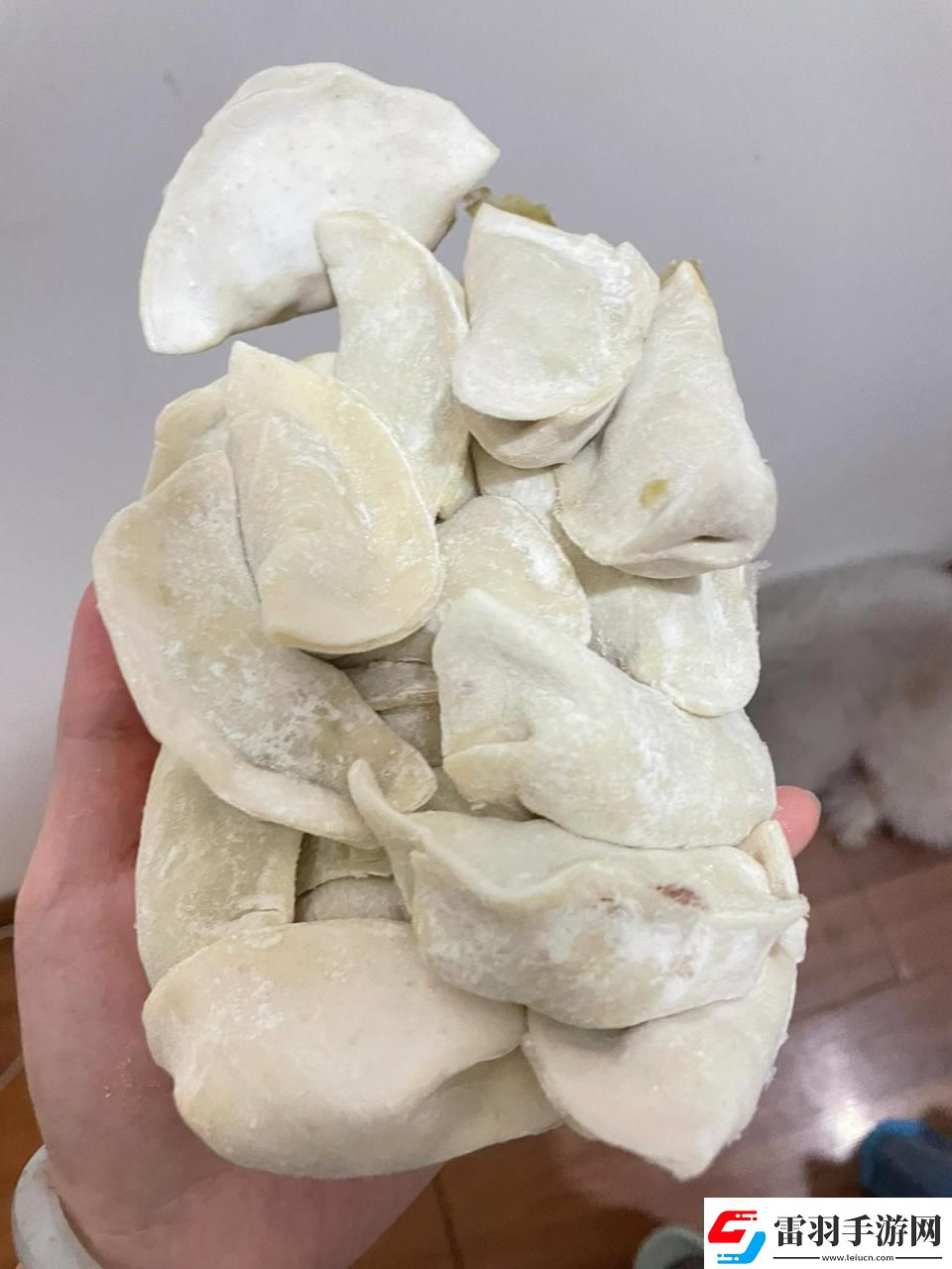 科技界的“廚神”挑戰(zhàn)