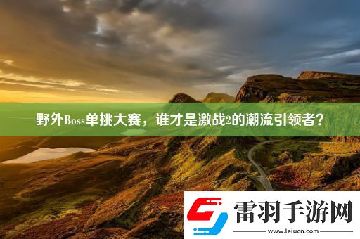 野外Boss單挑大賽